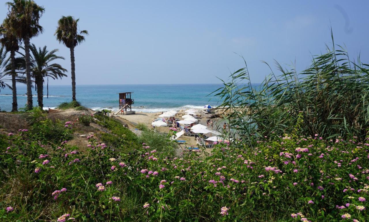Paphos Gardens, Near Beach Экстерьер фото